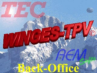 logiciel de caisse winges TPV